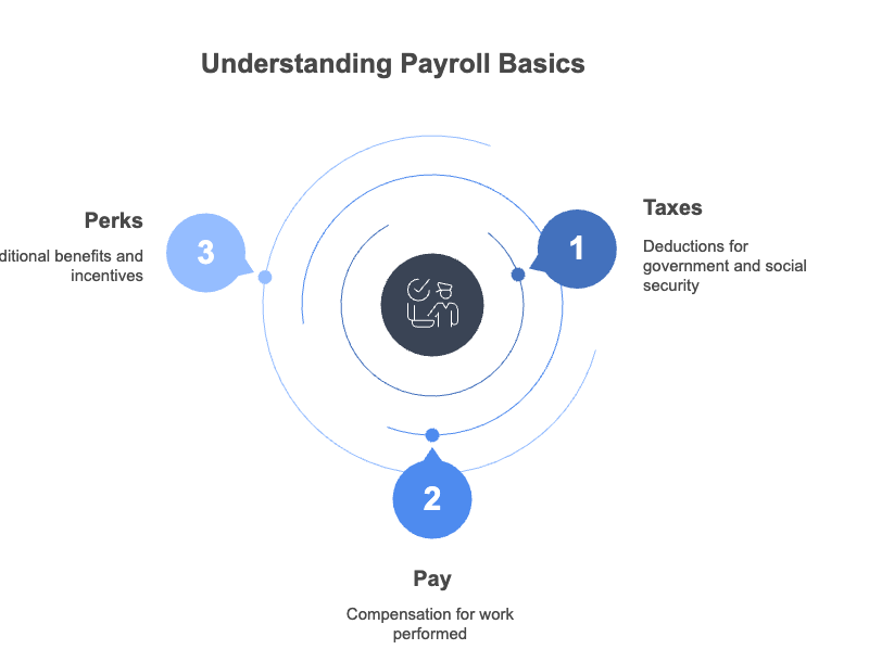 A circular diagram titled "Understanding Payroll Basics" illustrating three core payroll components:

Taxes – deductions for government and social security (top right),

Pay – compensation for work performed (bottom),

Perks – additional benefits and incentives (left).
Each component is shown as a numbered blue circle orbiting a central icon of two people.